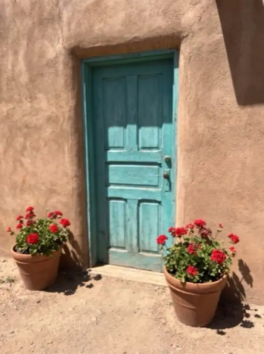 Example video: What I check before I open the door